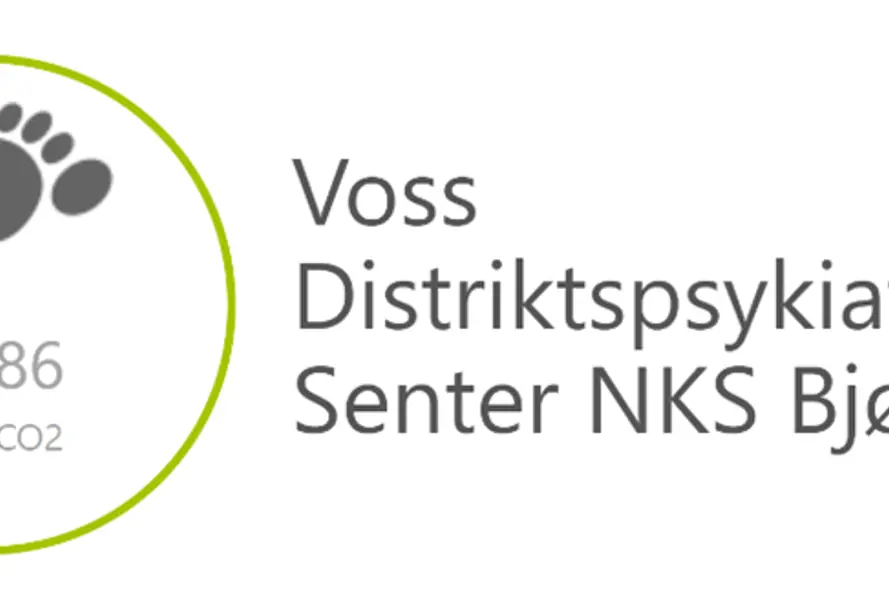 Kimaavtrykket til Voss DPS er 20,86 tonn CO2 for 2022
